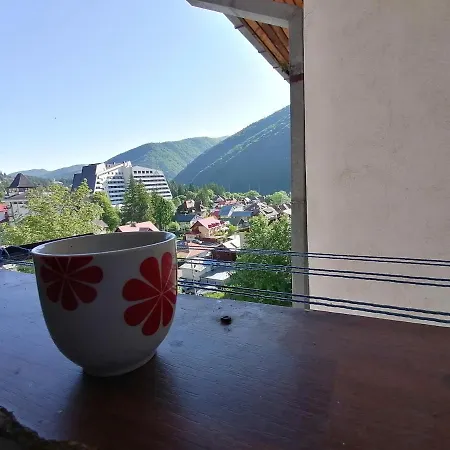 Apartment Family Duplex Sinaia